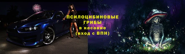 spice Липки