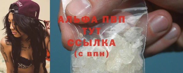дживик Майский