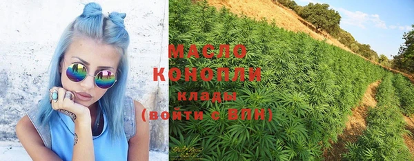 дживик Майский