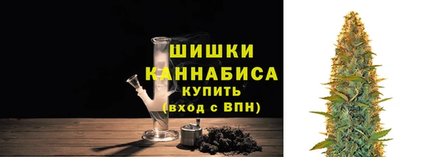 дживик Майский