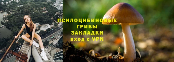 spice Липки