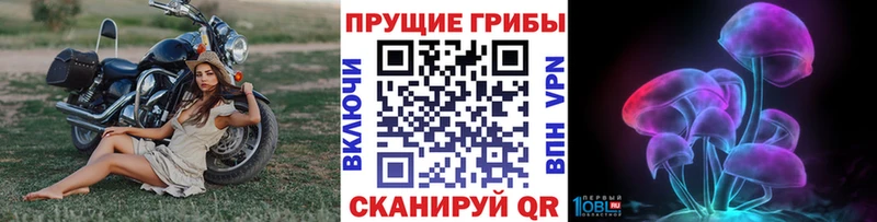 Псилоцибиновые грибы мицелий  Цимлянск 